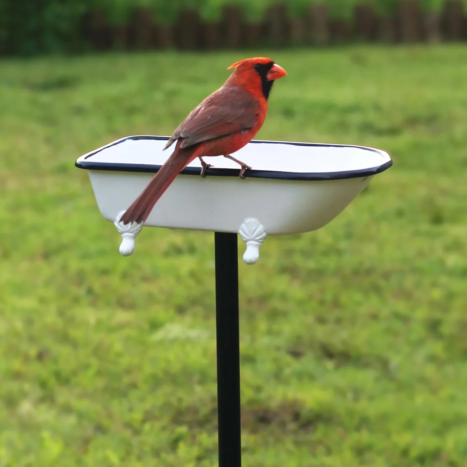 Plow & Hearth Birdbaths>Splish Splash Birdbath, Brass With Finish White