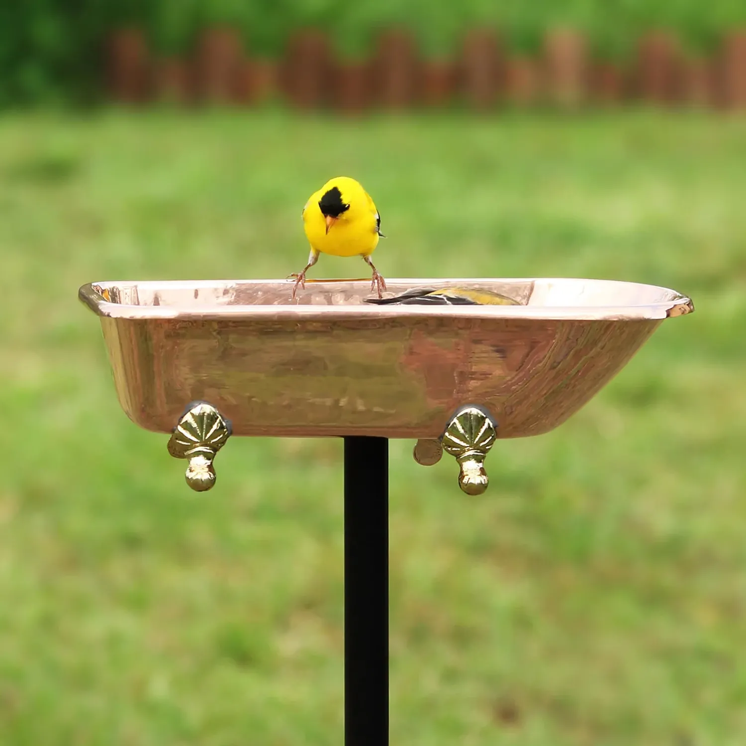 Plow & Hearth Birdbaths>Splish Splash Birdbath, Polished Copper