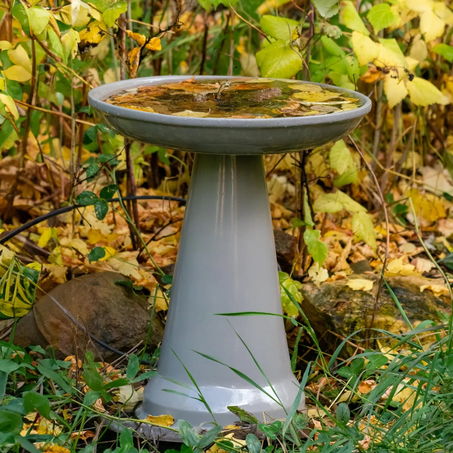 Plow & Hearth Birdbaths>Stoneware Birdbath
