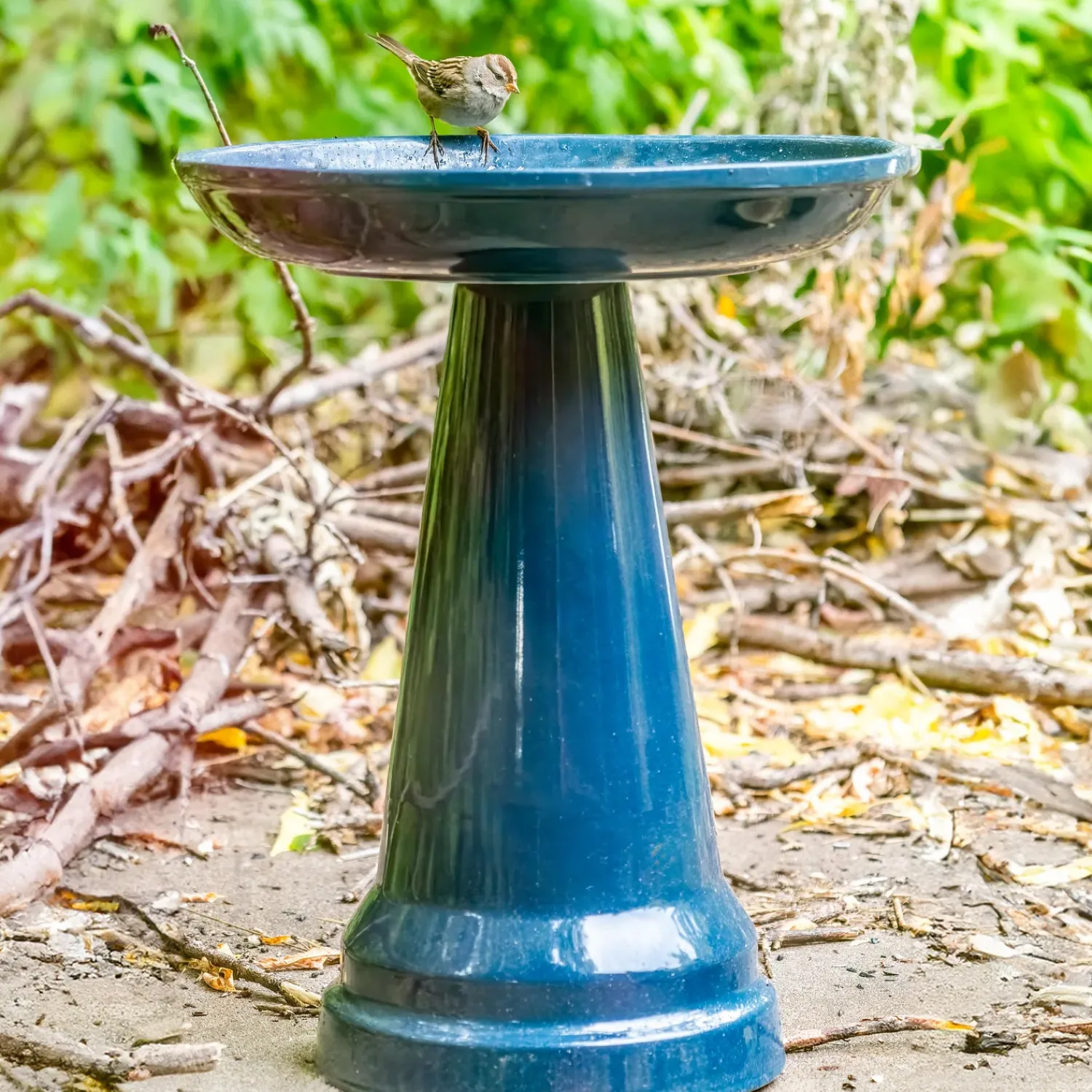 Plow & Hearth Birdbaths>Stoneware Birdbath