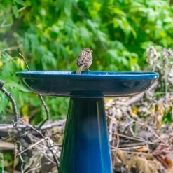 Plow & Hearth Birdbaths><noscript><img width=