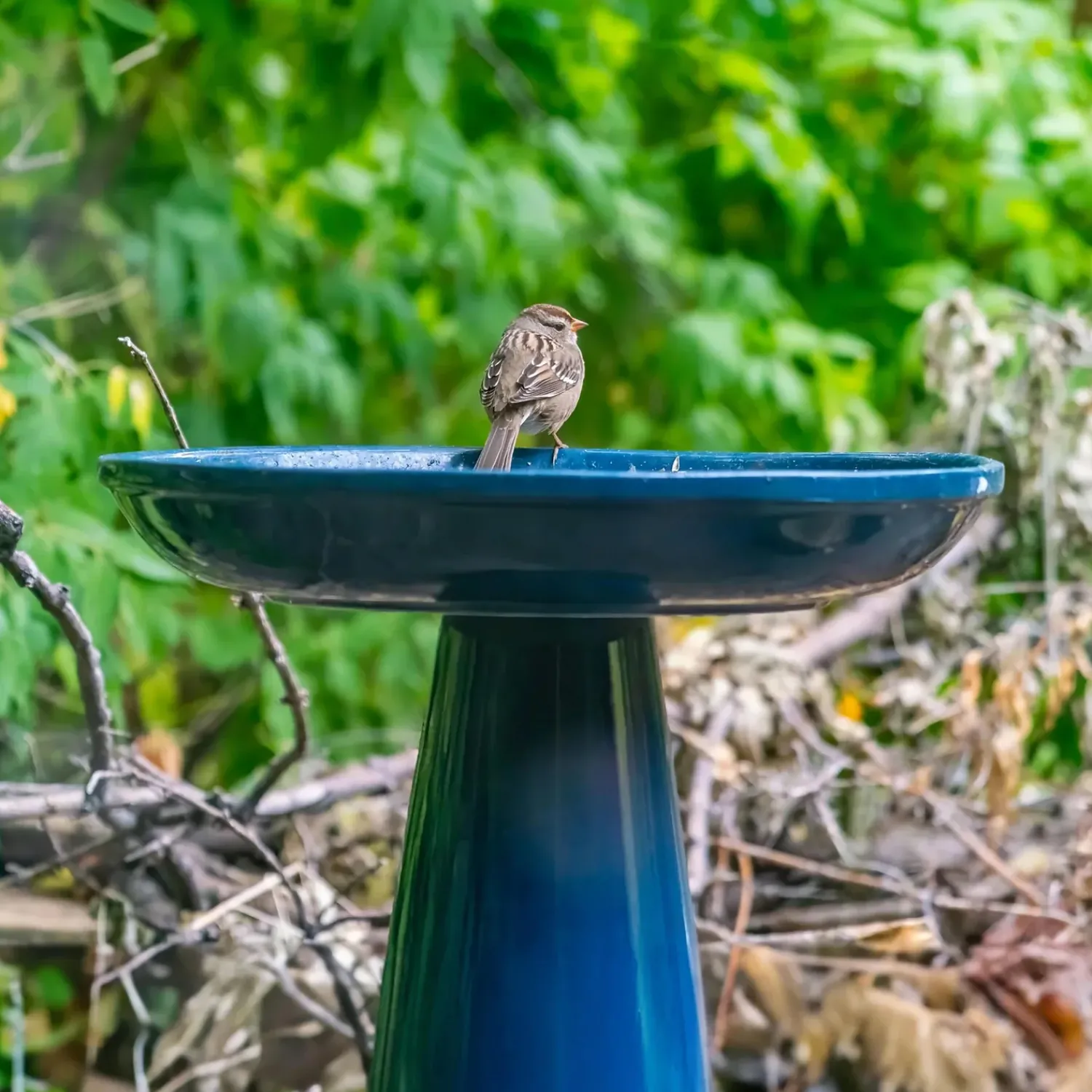 Plow & Hearth Birdbaths>Stoneware Birdbath